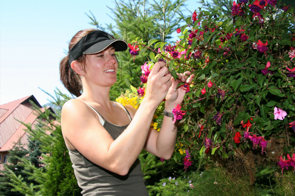Woman pruning bush