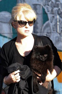 Kelly Osbourne and her dog Noodles