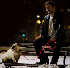 Light up dog leash