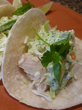 fish tacos
