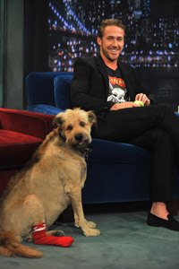 Ryan Gosling with George on Jimmy Fallon