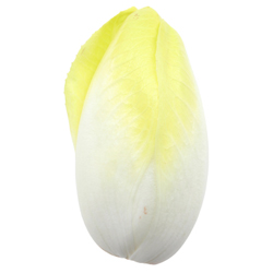 Belgian endive