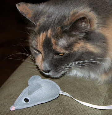 felt mouse cat toy pattern