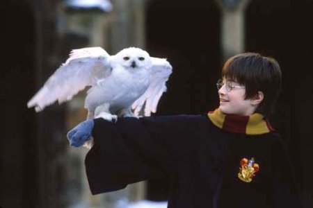 Harry Potter and the Sorcerer's Stone