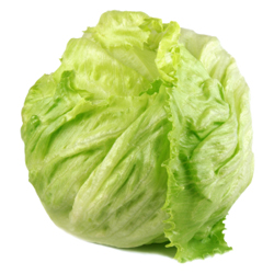 Iceburg