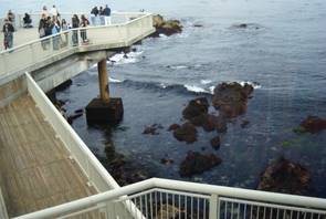 Monterey Bay Aquarium