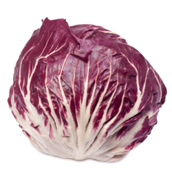 Radicchio