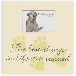 Rescued Dog Frame