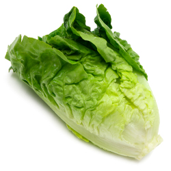 Romaine
