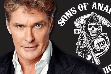 David Hasselhoff and Tom Arnold to Sons of Anarchy
