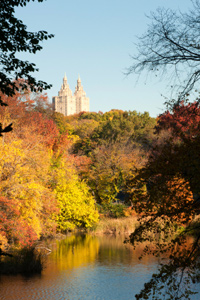 Central Park, New York City