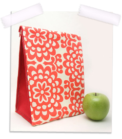 Back to school eco insulated lunch bag