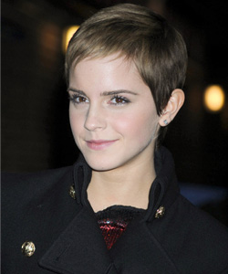 Emma Watson Pixie Haircut on Easy Hair Trends To Try