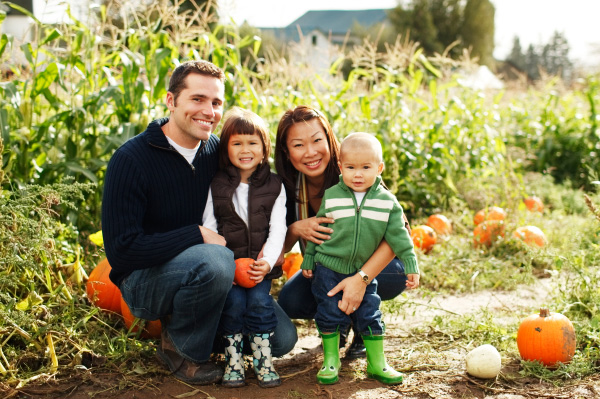 Family picking pumpkins