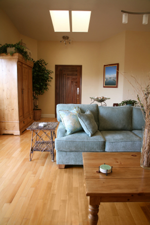 How to arrange a narrow family room