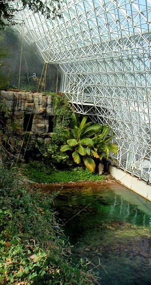 Inside Biosphere