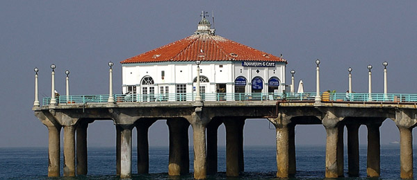 Roundhouse aquarium