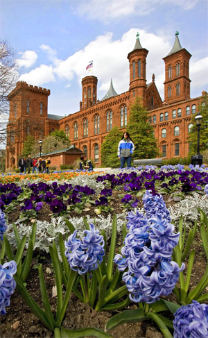 Smithsonian castle