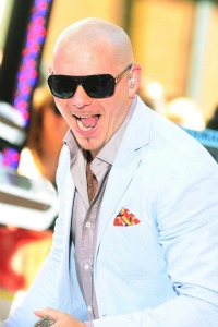 Pitbull