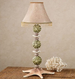 Natural Wonders Shell Table Lamp