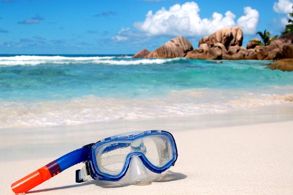 shark-attack-seychelles
