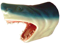 Shark Head Wall Decor