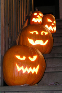 Variety of pumpkins