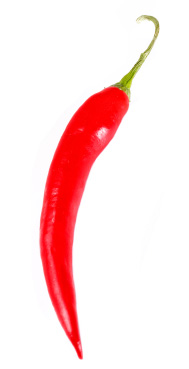 Chile pepper