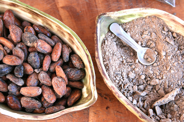 Cocoa beans nad cocoa powder