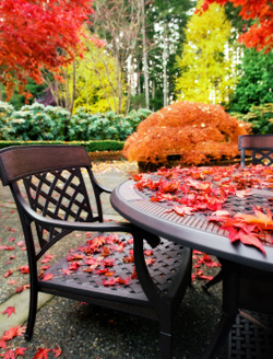 Embracing autumn