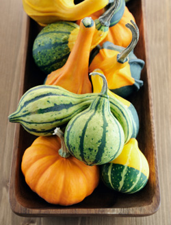 Focus on fruits and veggies
