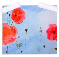 Red Poppies