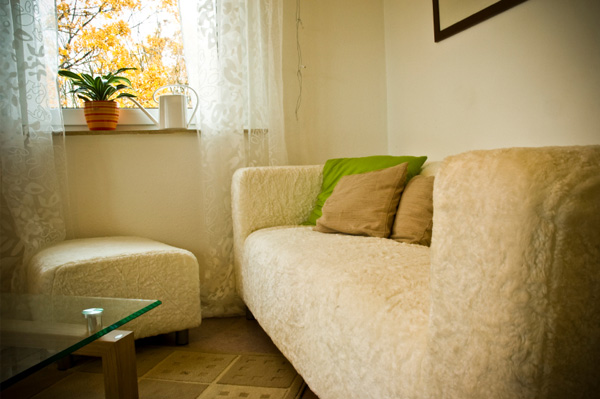 Fall living room with organic textures