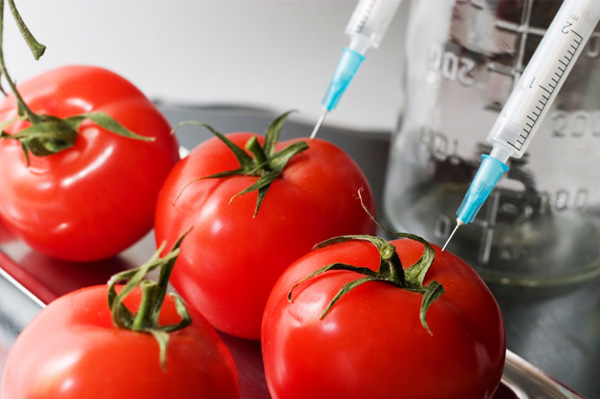 top-five-failures-of-the-genetically-modified-food-industry-buzz