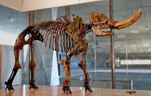 New York State Museum