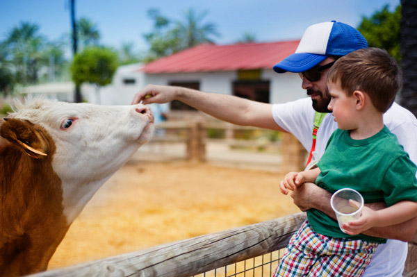 Little Farm and the Environmental Education Center