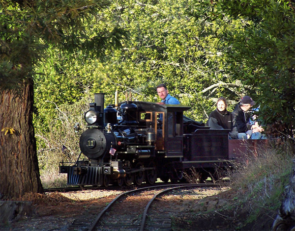 Tilden Park steam train