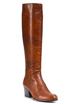 Stuart Weitzman Standard Riding Boot
