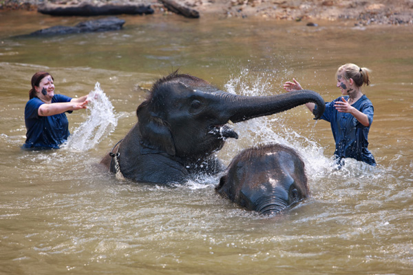 Woman on volunteer vacation in Thailand protecting elephants