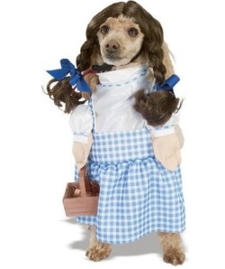 Dorothy Halloween dog costume