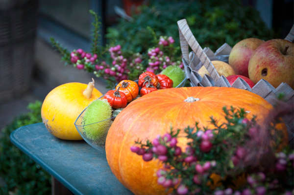 Fall harvest festival