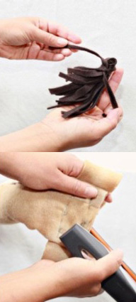 Lion tail