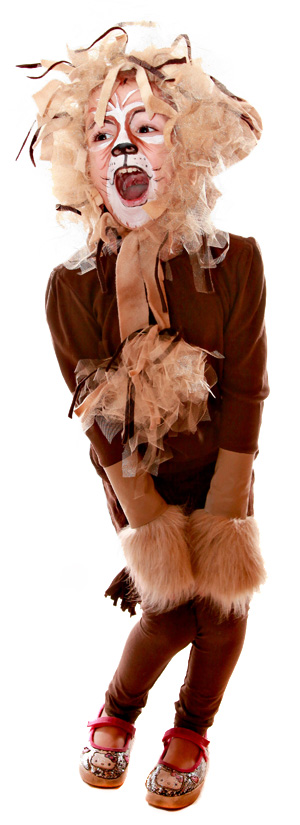Do-it-yourself lion costume