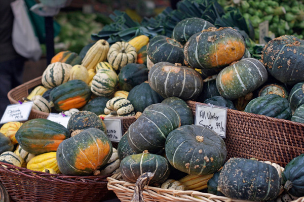 Winter squash