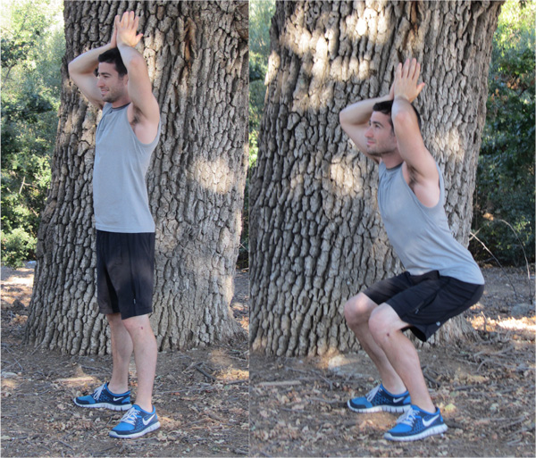 Silly Shark Squats (as seen in Wallie Exercises)