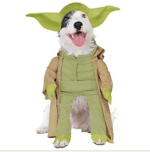 Yoda dog Halloween costume
