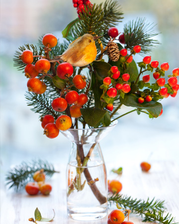 Christmas vase with cranberry and fig