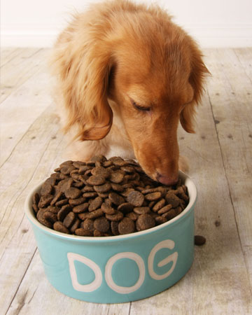 Get where to buy hill  s science dog food