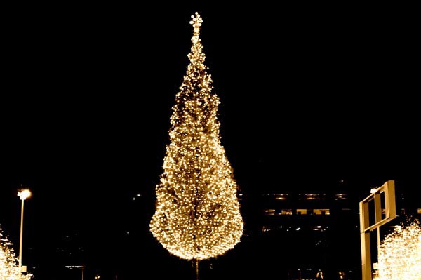 Kansas City Mayor Christmas tree lighting