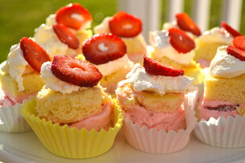 Mini ice cream cakes